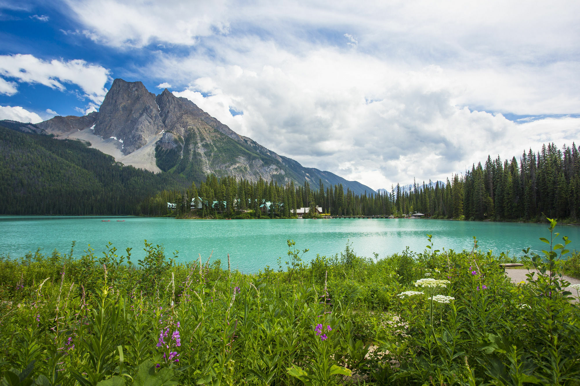 Emerald Lake Lodge Field Kültér fotó